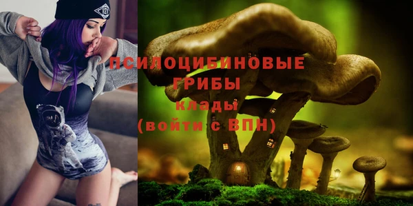 ALPHA PVP Киренск