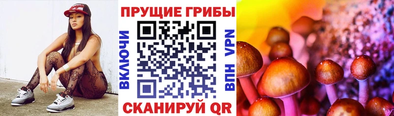 Псилоцибиновые грибы мицелий  Купить  Заводоуковск 